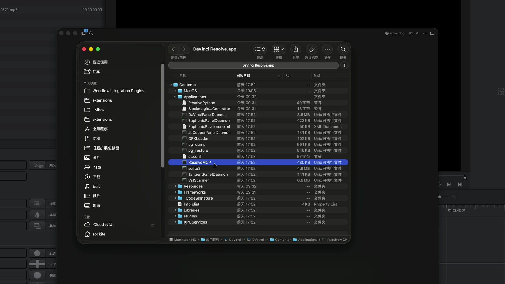 ResolveMCP inside the app package
