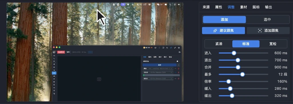Mouse zoom follow